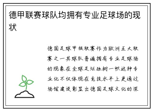 德甲联赛球队均拥有专业足球场的现状