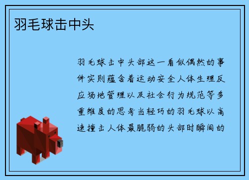 羽毛球击中头
